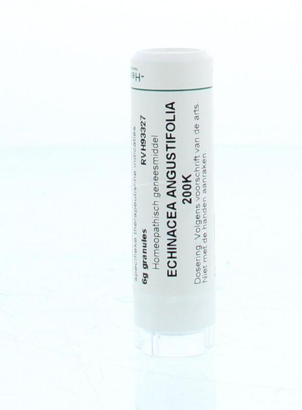 Homeoden Heel Echinacea angustifolia 200K 6 Gram