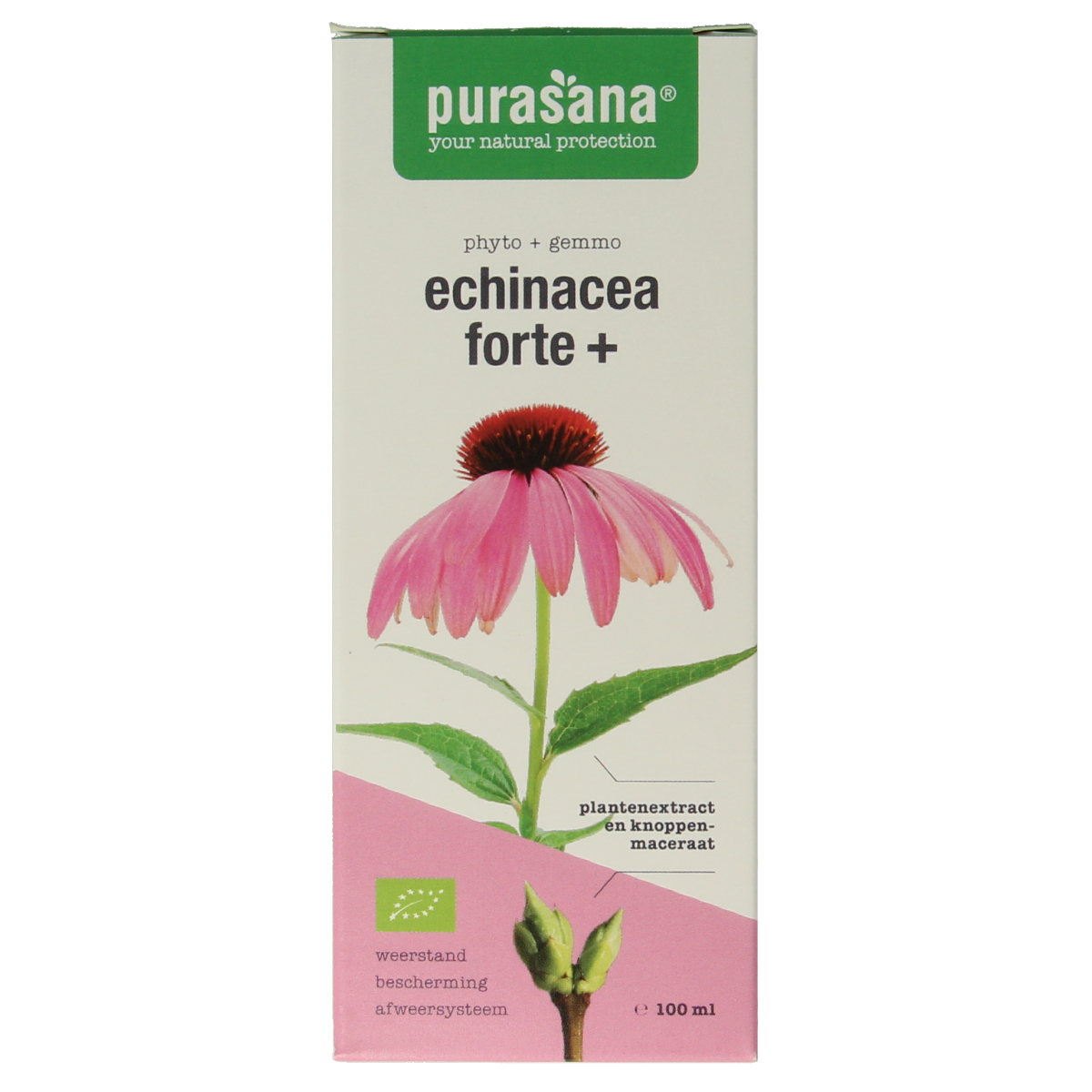 Purasana Echinacea forte + vegan bio 100.00 Milliliter