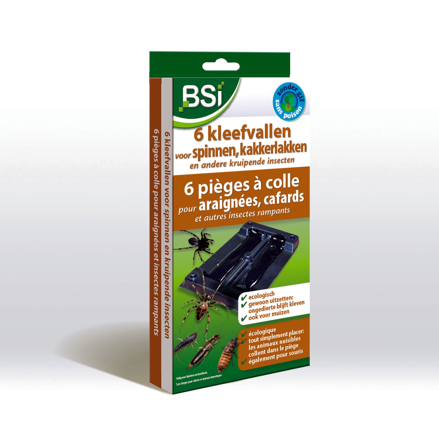 BSI Kleefvallen voor spinnen 6.00 Stuks
