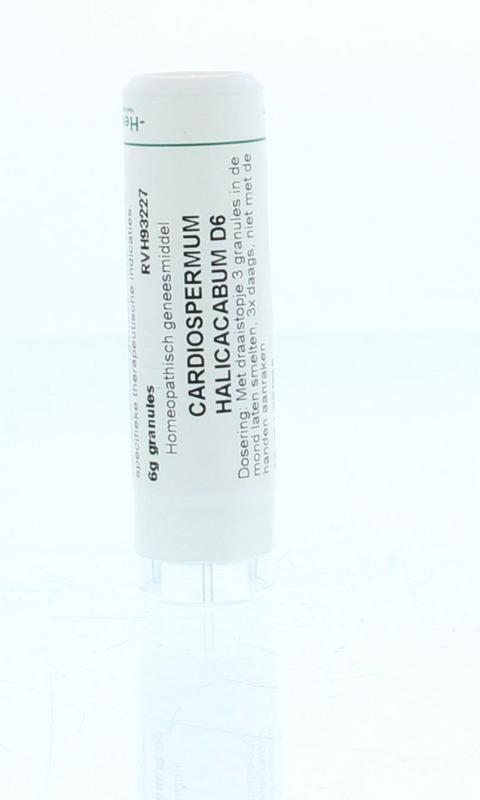 Homeoden Heel Cardiospermum halicacabum D6 6.00 Gram