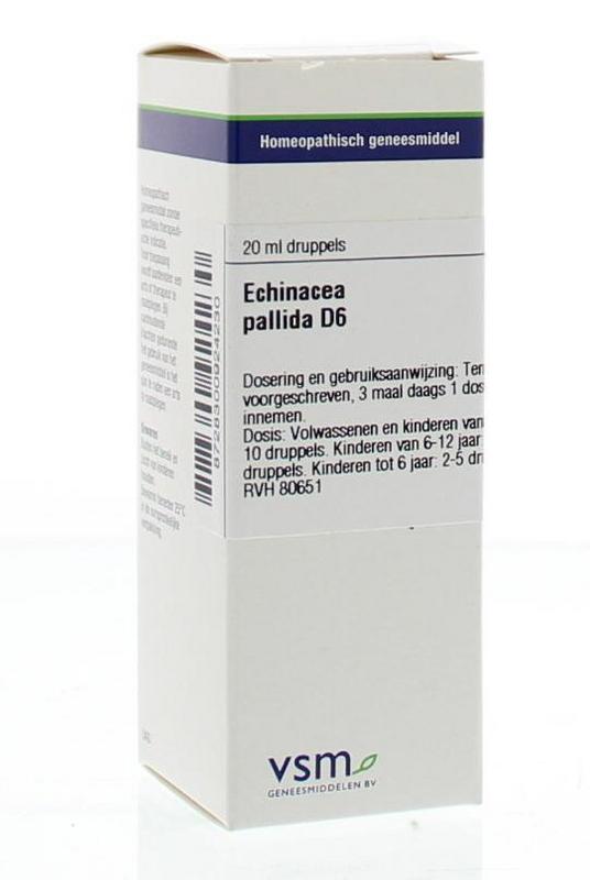 VSM Echinacea pallida D6 20 Milliliter