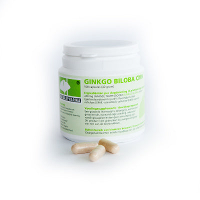 Naturapharma Ginkgo biloba CMN plus 100.00 Vegetarische capsules