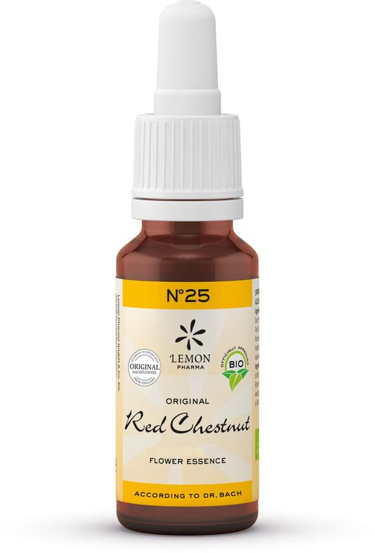 Bach Bloesem Bach bloesemremedies red chestnut bio 20.00 Milliliter