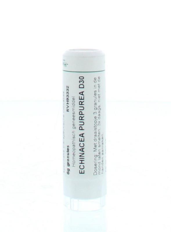 Homeoden Heel Echinacea purpurea D30 6.00 Gram