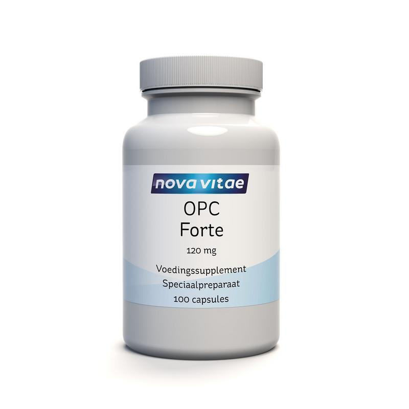 Nova Vitae OPC Forte 120mg 95% (druivenpit extract) 100.00 Vegetarische capsules