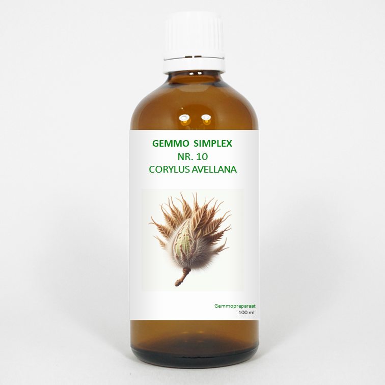 Balancepharma Gemmo simplex 10 corylus avellana 100.00 Milliliter