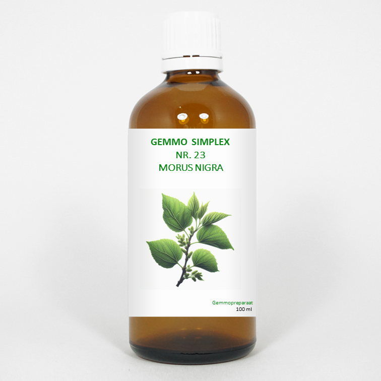 Balancepharma Gemmo simplex 23 morus nigra 100.00 Milliliter