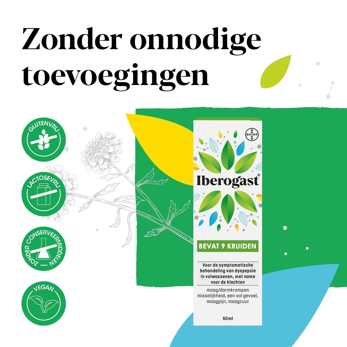 Iberogast Spijsvertering 50 Milliliter