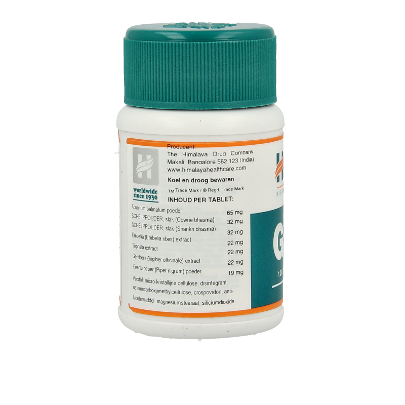 Holisan Gasex 100 Tabletten