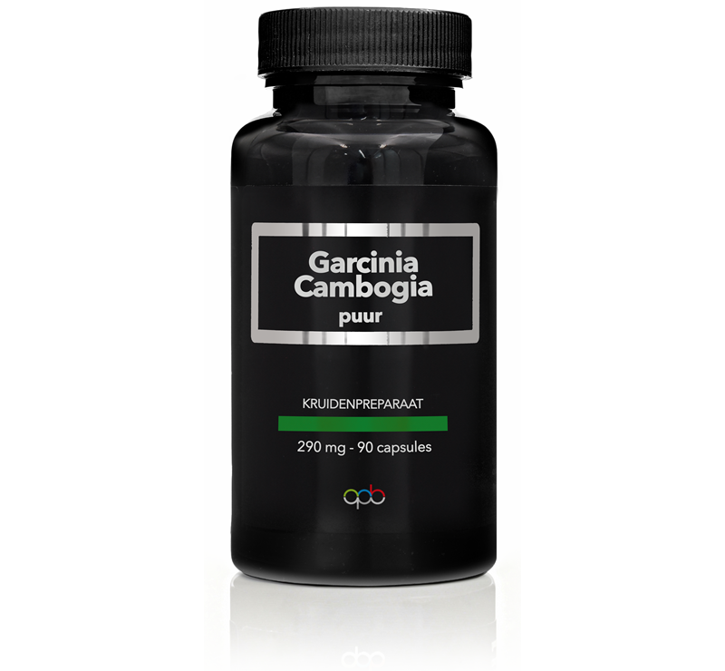 APB Holland Garcinia cambogia puur 290mg 90 Vegetarische capsules