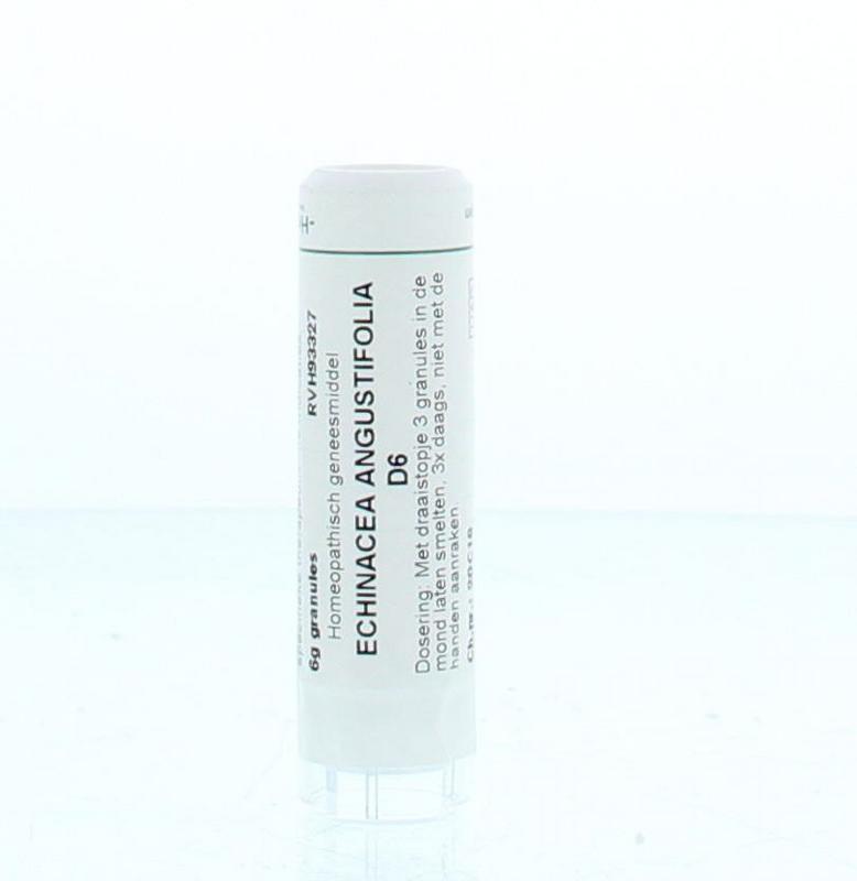 Homeoden Heel Echinacea angustifolia D6 6.00 Gram