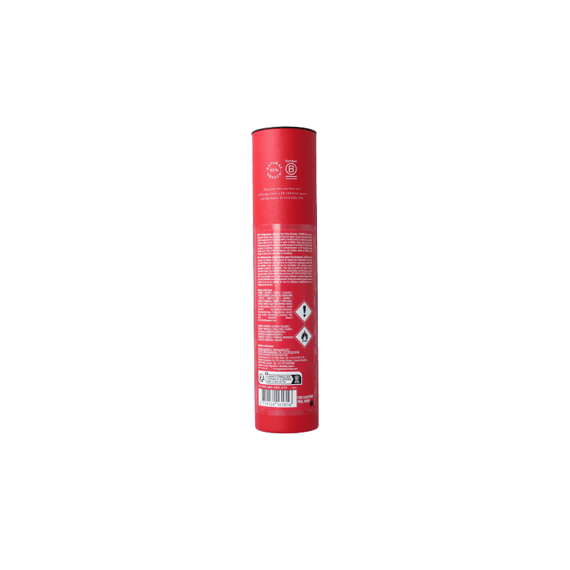 Rituals Ayurveda fragrance sticks mini 70 Milliliter - DrogistWereld