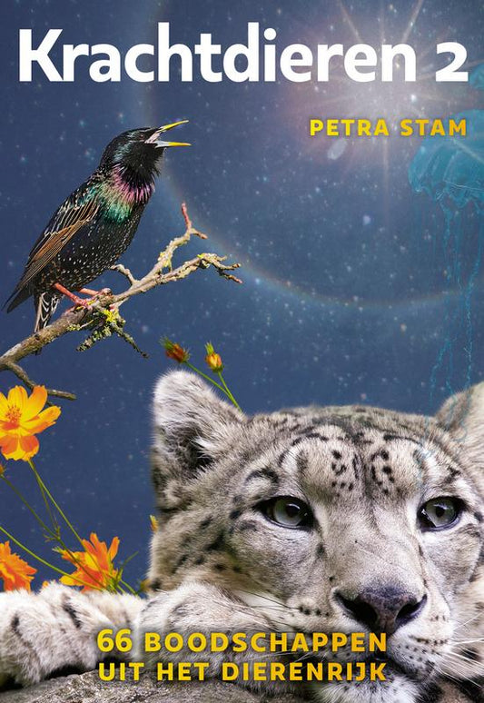 A3 boeken Krachtdieren 2 kaartenset 1 Set