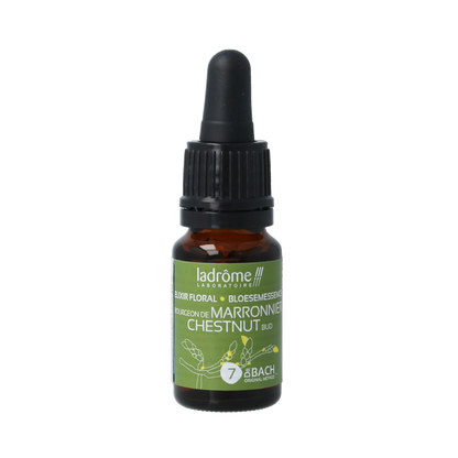 Ladrome Chestnut bud bio 10 Milliliter