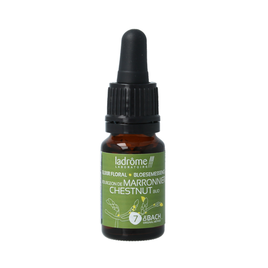 Ladrome Chestnut bud bio 10 Milliliter