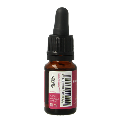 Ladrome Centaury/Duizendguldenkruid nr 4 bio 10 Milliliter
