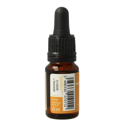 Ladrome Chicoree chicory bio 10 Milliliter