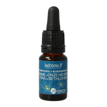 Ladrome Star of Bethlehem bio 10 Milliliter