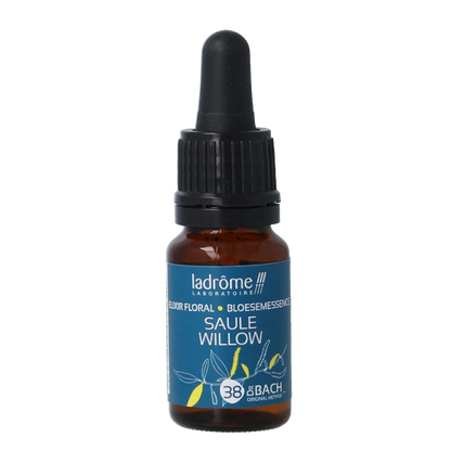 Ladrome Willow bio 10 Milliliter