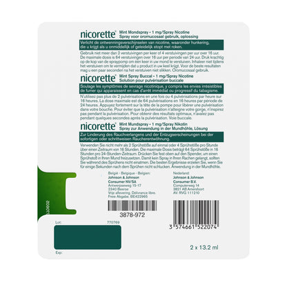 Nicorette Mondspray mint 1mg duo verpakking 1.00 Set