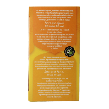 Yogi Tea Ginger lemon munt bio 17.00 Zakjes