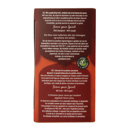 Yogi Tea Ginger bio 17.00 Zakjes