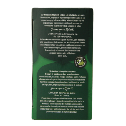 Yogi Tea Green balance bio 17.00 Zakjes