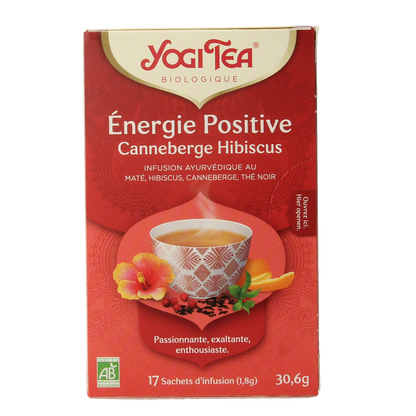 Yogi Tea Positive energy bio 17.00 Zakjes