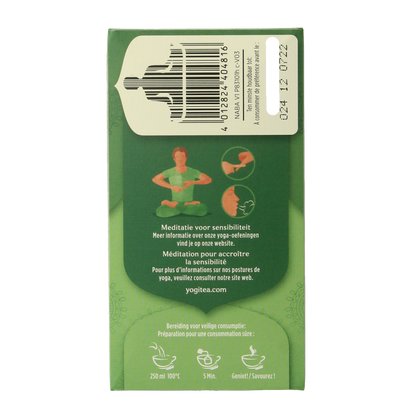 Yogi Tea Natural balance bio 17.00 Zakjes