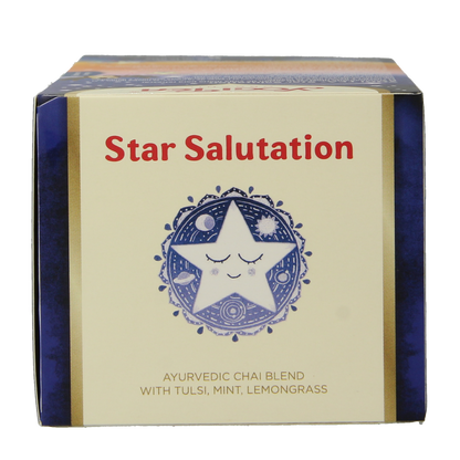 Yogi Tea Star salutation bio 17.00 Zakjes
