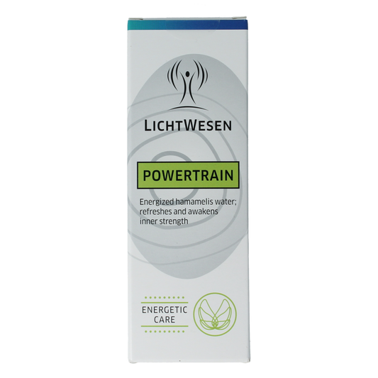 Lichtwesen Powertrain energiespray 100.00 Milliliter