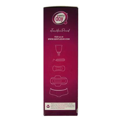Gentle Day Intieme wasgel 250 Milliliter