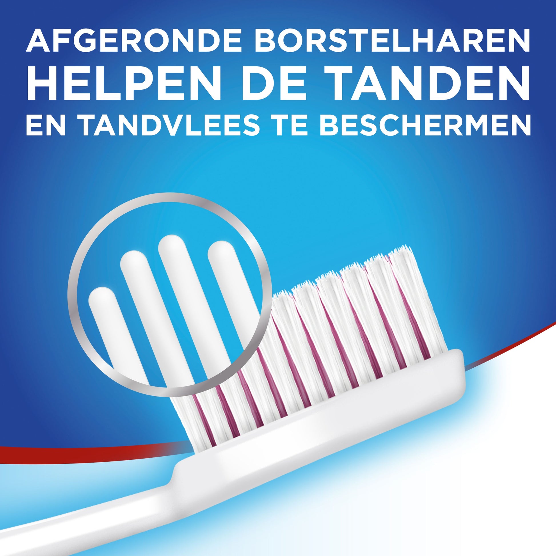 Aquafresh Tandenborstel clean & flex hard 3 Stuks