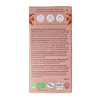 Pukka Tumeric active tea bio 20.00 Zakjes