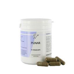 Holisan Punar 95 Capsules