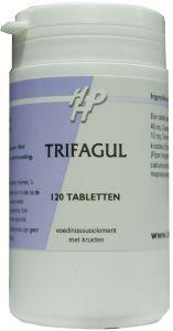 Holisan Trifagul 120.00 Tabletten