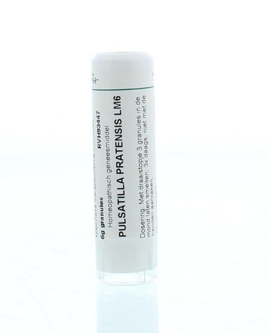 Homeoden Heel Pulsatilla pratensis LM6 6 Gram
