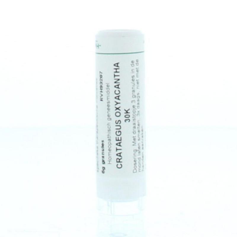 Homeoden Heel Crataegus oxyacantha 30K 6 Gram