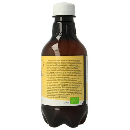 Purasana Kombucha gember vegan bio 330 Milliliter