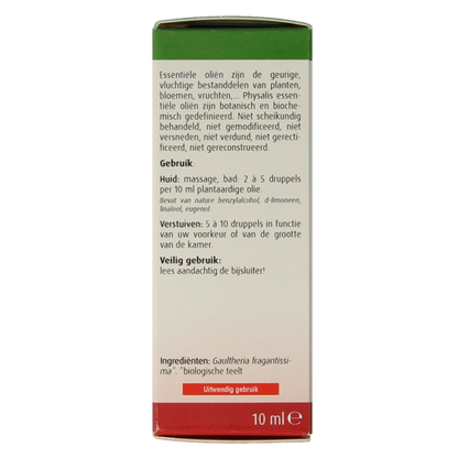 Physalis Wintergreen bio 10 Milliliter