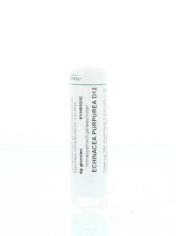 Homeoden Heel Echinacea purpurea D12 6 Gram