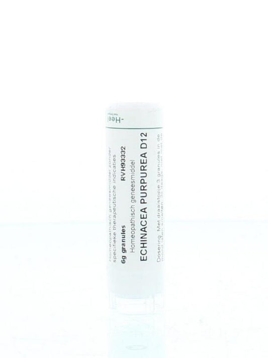 Homeoden Heel Echinacea purpurea D12 6 Gram