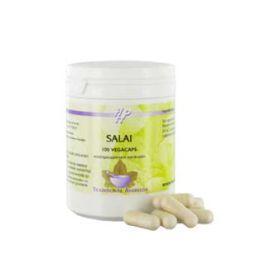 Holisan Salai 100 Capsules
