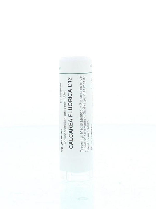 Homeoden Heel Calcarea fluorica D12 6 Gram