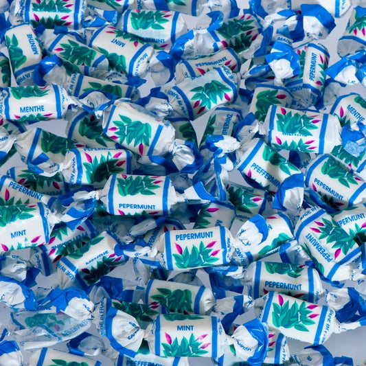 De Bron Toffee pepermunt suikervrij 953 Gram
