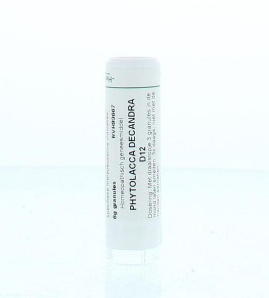 Homeoden Heel Phytolacca decandra D12 6 Gram