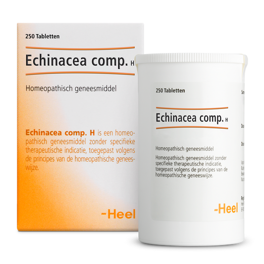 Heel Echinacea compositum H 250.00 Tabletten