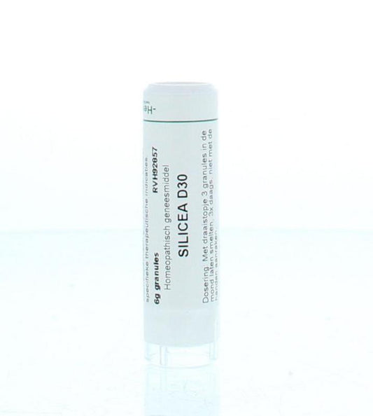 Homeoden Heel Silicea D30 6.00 Gram