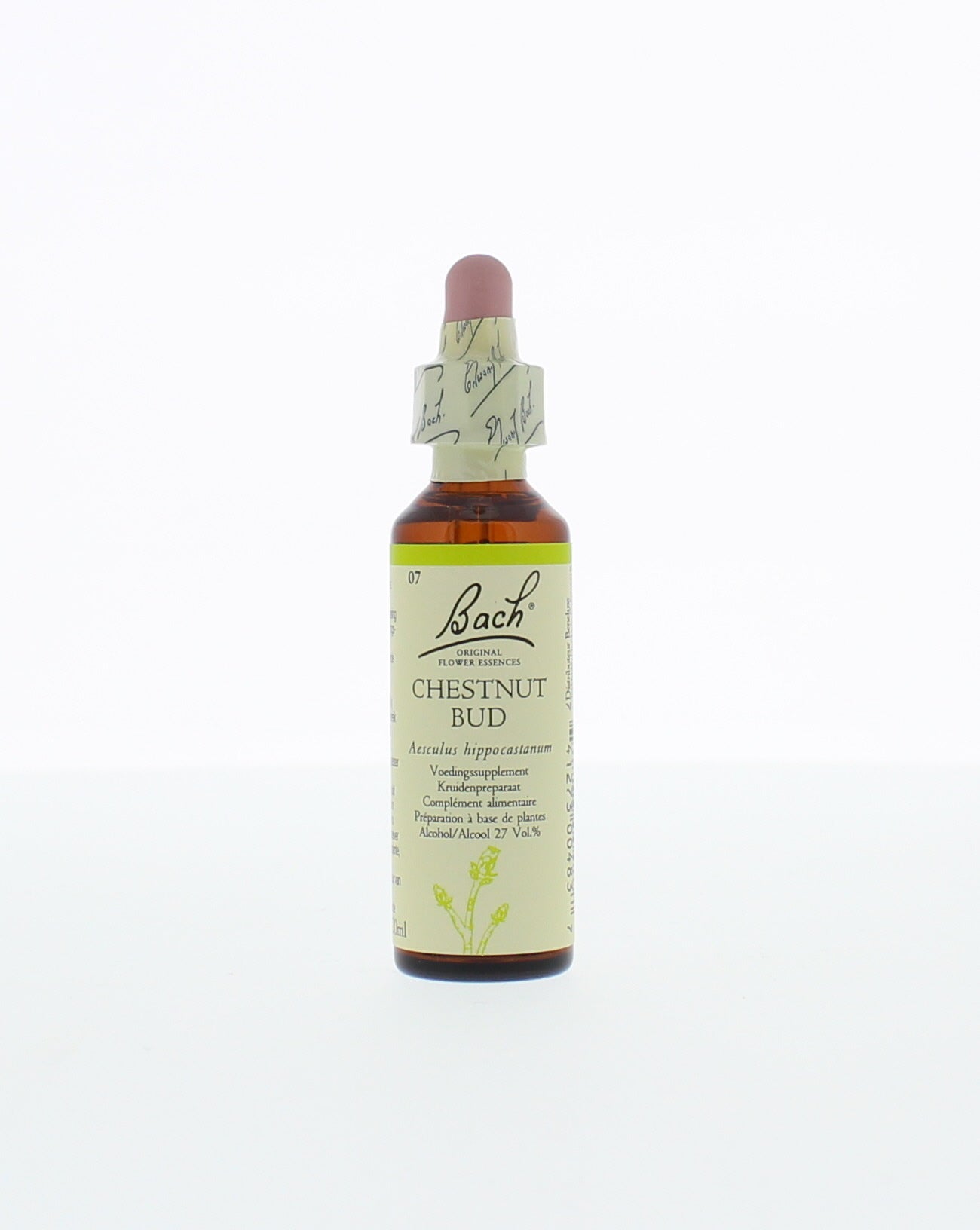 Bach Chestnut bud/kastanjeknop 20.00 Milliliter