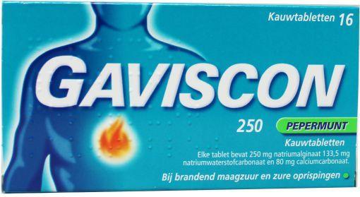 Gaviscon Pepermunt 250 16 Tabletten